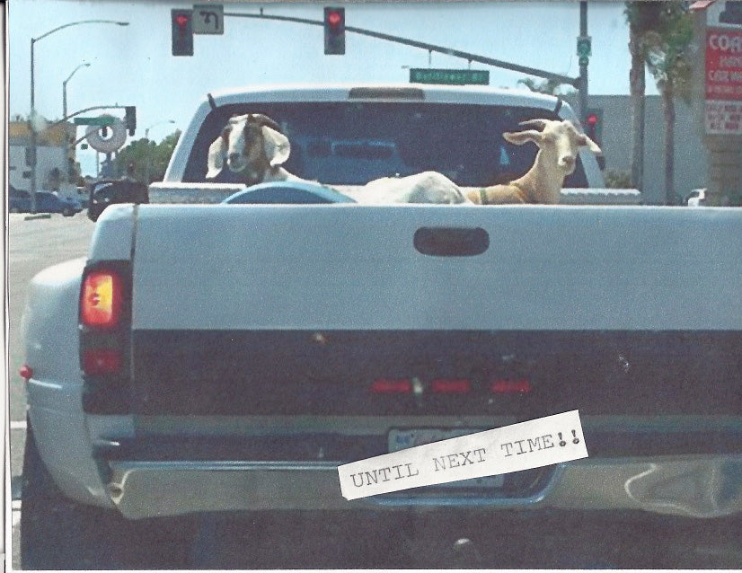 Only in Long Beach