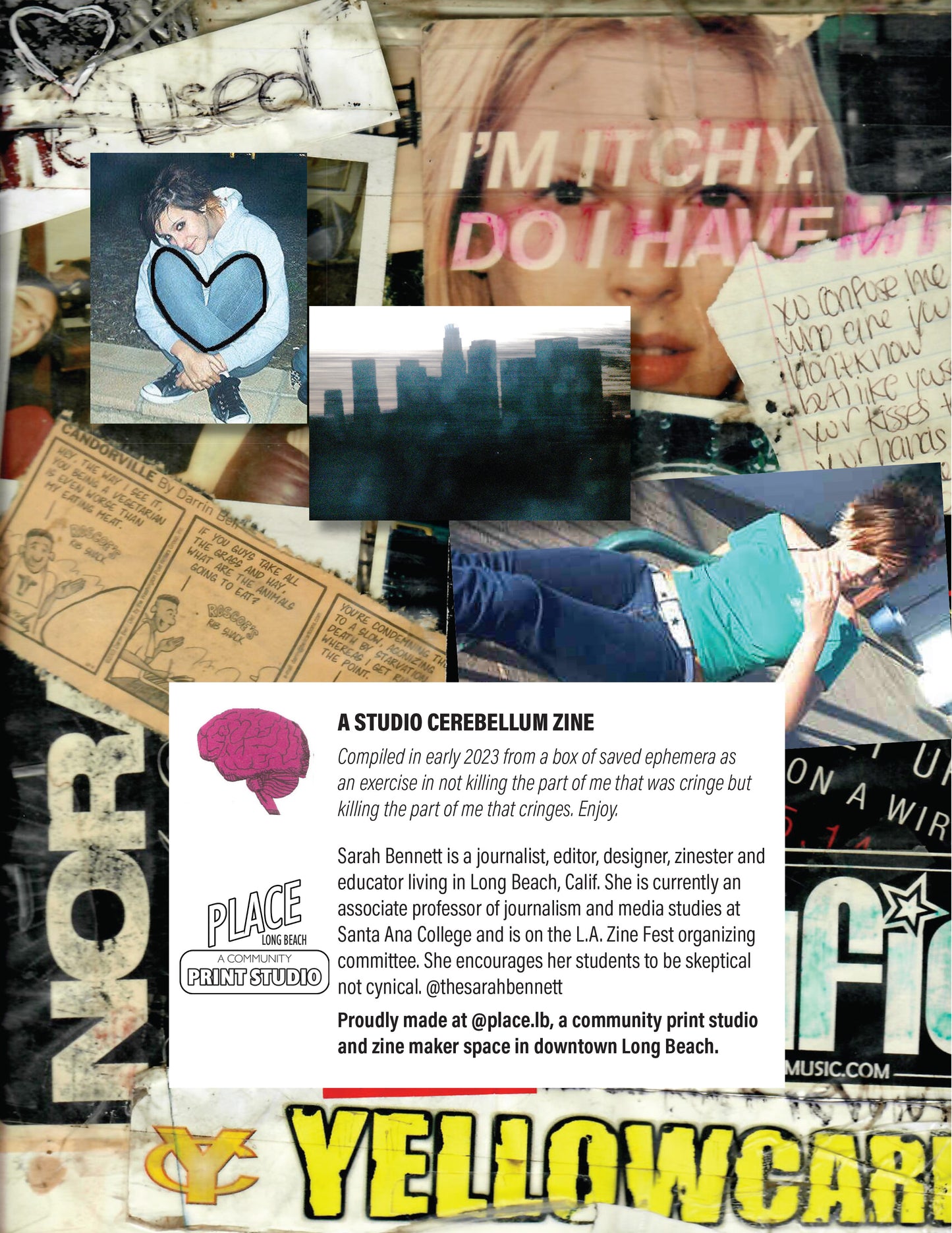 Teen Angst Zine: the HS Newspaper Archives